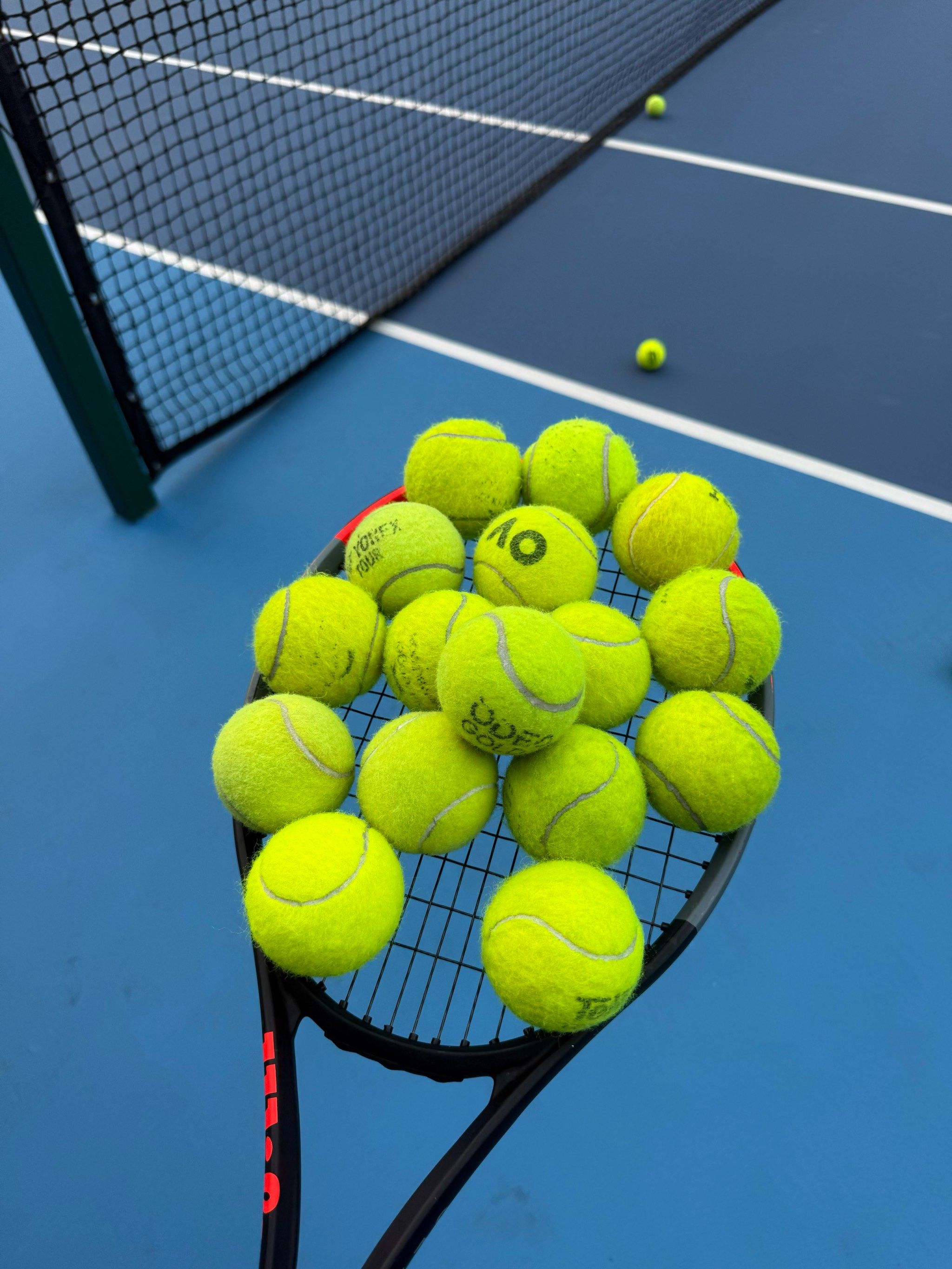 未来不仅属 未来不仅属